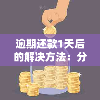 逾期还款1天后的解决方法：分期贷款全解析