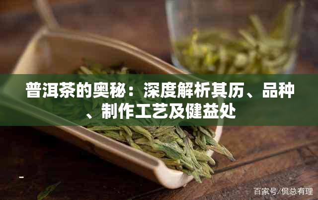 普洱茶的奥秘：深度解析其历、品种、制作工艺及健益处