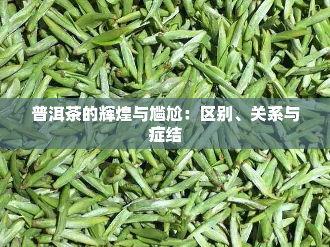 普洱茶的辉煌与尴尬：区别、关系与症结