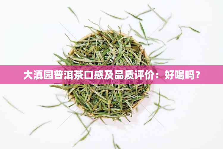 大滇园普洱茶口感及品质评价：好喝吗？