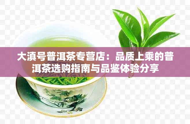 大滇号普洱茶专营店：品质上乘的普洱茶选购指南与品鉴体验分享