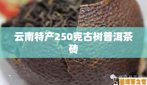 云南特产250克古树普洱茶砖