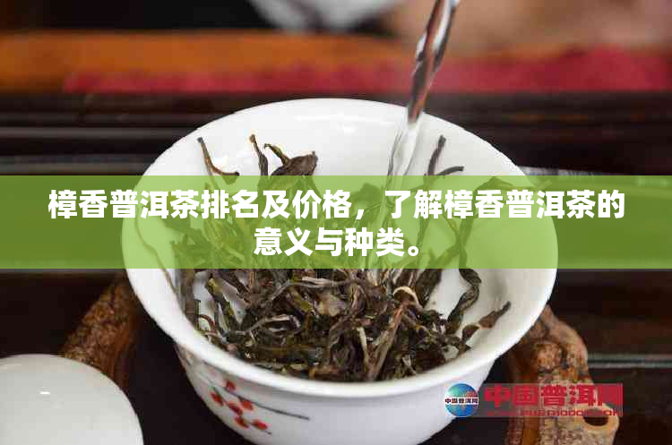 樟香普洱茶排名及价格，了解樟香普洱茶的意义与种类。