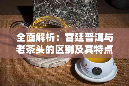 全面解析：宫廷普洱与老茶头的区别及其特点，让你轻松掌握普洱茶的精髓