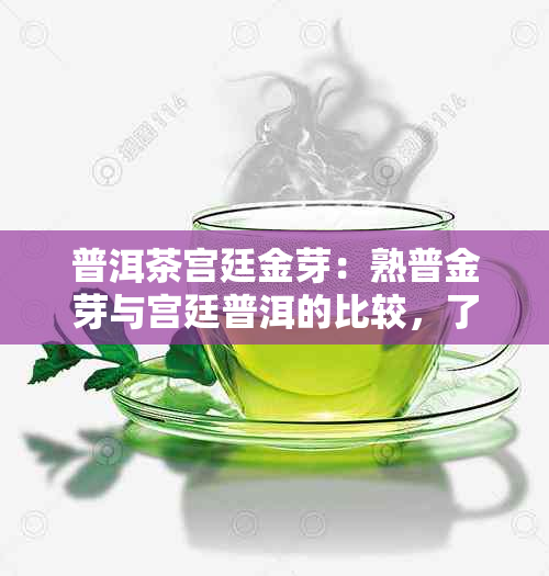 普洱茶宫廷金芽：熟普金芽与宫廷普洱的比较，了解这两种茶的特点和区别。