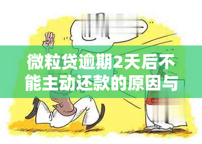 微粒贷逾期2天后不能主动还款的原因与解决办法，用户常见问题全面解答