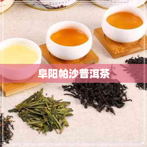 阜阳帕沙普洱茶