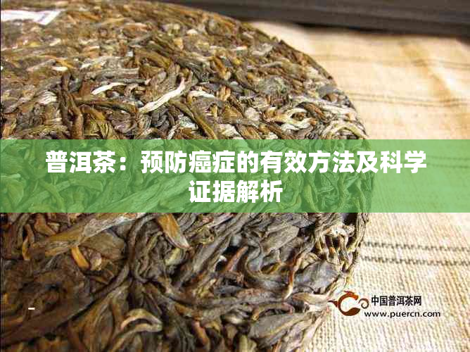 普洱茶：预防癌症的有效方法及科学证据解析