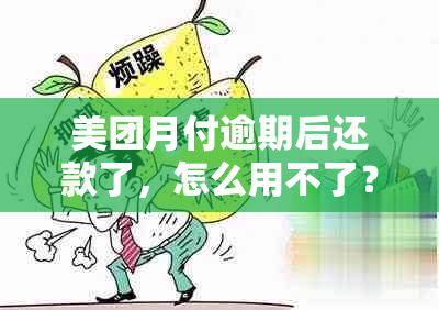 美团月付逾期后还款了，怎么用不了？2天、3天情况分析