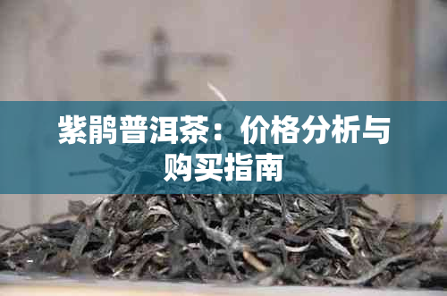 紫鹃普洱茶：价格分析与购买指南