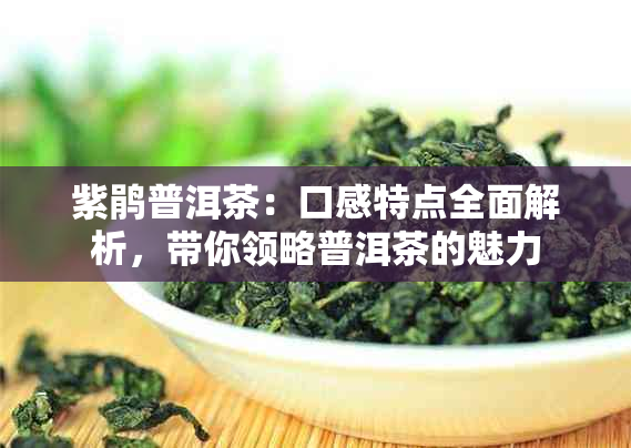 紫鹃普洱茶：口感特点全面解析，带你领略普洱茶的魅力