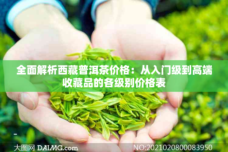 全面解析 *** 普洱茶价格：从入门级到高端收藏品的各级别价格表