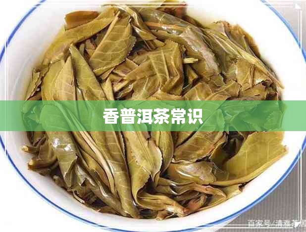 香普洱茶常识