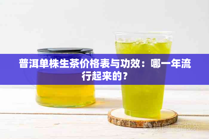 普洱单株生茶价格表与功效：哪一年流行起来的？