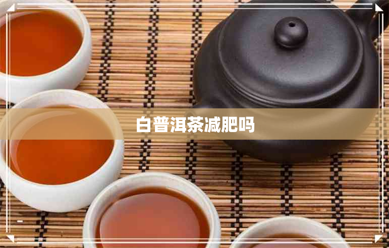 白普洱茶减肥吗