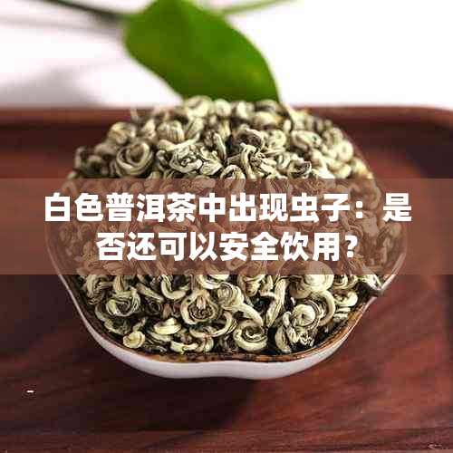 白色普洱茶中出现虫子：是否还可以安全饮用？