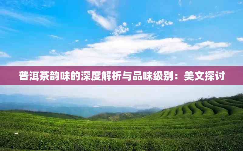 普洱茶韵味的深度解析与品味级别：美文探讨