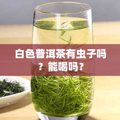 白色普洱茶有虫子吗？能喝吗？