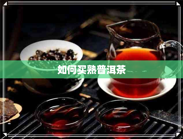 如何买熟普洱茶