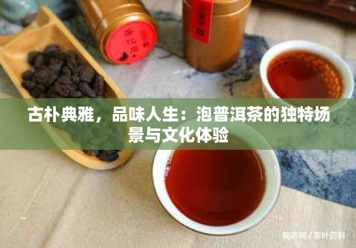 古朴典雅，品味人生：泡普洱茶的独特场景与文化体验