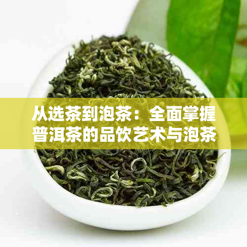 从选茶到泡茶：全面掌握普洱茶的品饮艺术与泡茶技巧