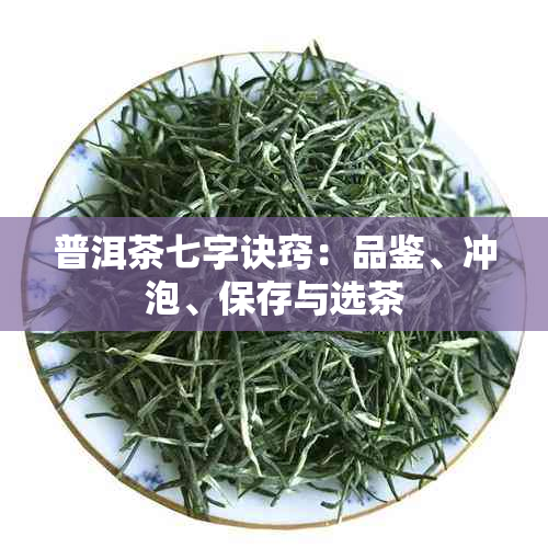 普洱茶七字诀窍：品鉴、冲泡、保存与选茶