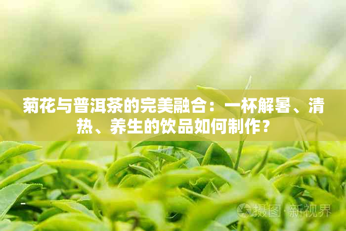 菊花与普洱茶的完美融合：一杯解暑、清热、养生的饮品如何制作？