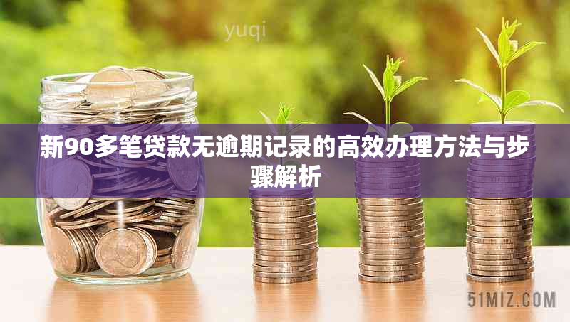 新90多笔贷款无逾期记录的高效办理方法与步骤解析