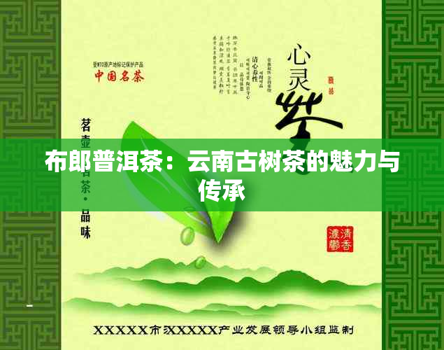 布郎普洱茶：云南古树茶的魅力与传承