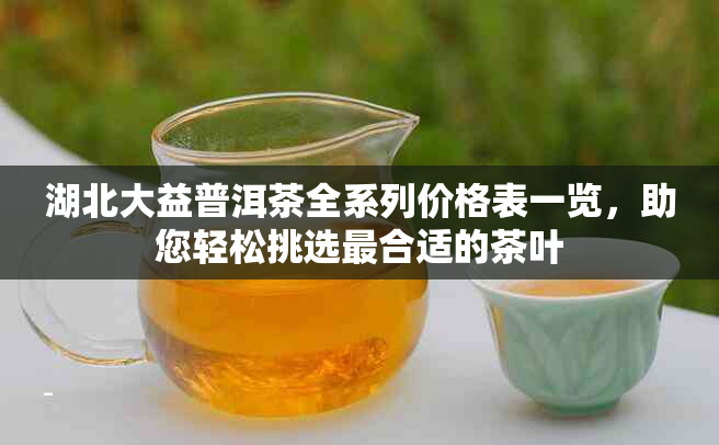 湖北大益普洱茶全系列价格表一览，助您轻松挑选最合适的茶叶