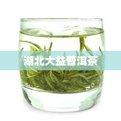 湖北大益普洱茶