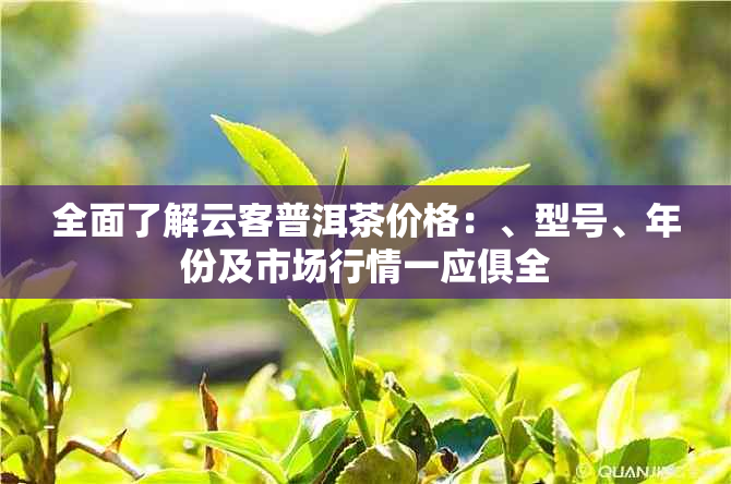 全面了解云客普洱茶价格：、型号、年份及市场行情一应俱全