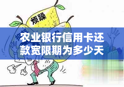 农业银行信用卡还款宽限期为多少天？