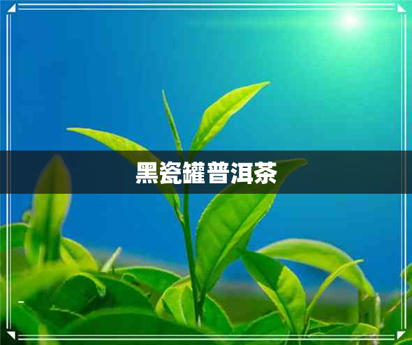 黑瓷罐普洱茶