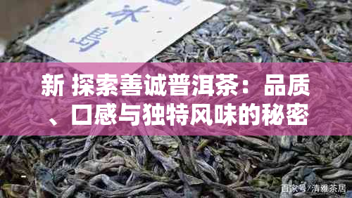 新 探索善诚普洱茶：品质、口感与独特风味的秘密