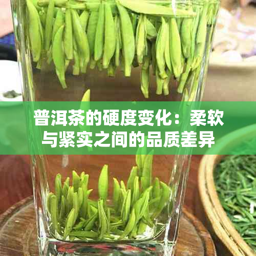 普洱茶的硬度变化：柔软与紧实之间的品质差异