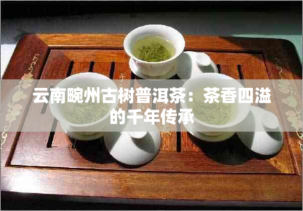 云南畹州古树普洱茶：茶香四溢的千年传承