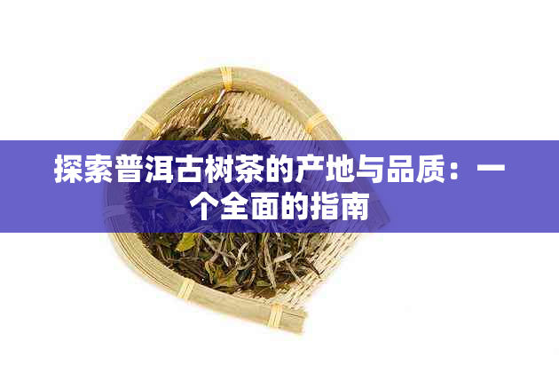 探索普洱古树茶的产地与品质：一个全面的指南