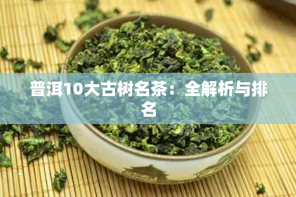 普洱10大古树名茶：全解析与排名