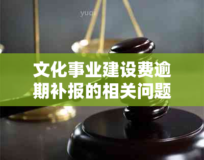 文化事业建设费逾期补报的相关问题及解答