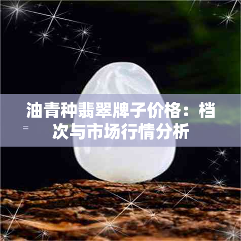 油青种翡翠牌子价格：档次与市场行情分析