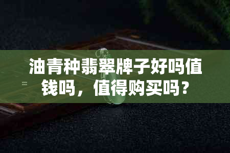 油青种翡翠牌子好吗值钱吗，值得购买吗？