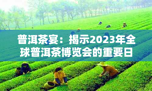 普洱茶宴：揭示2023年全球普洱茶博览会的重要日期