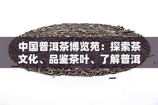 中国普洱茶博览苑：探索茶文化、品鉴茶叶、了解普洱历与工艺的综合性景点