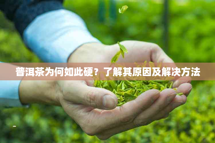 普洱茶为何如此硬？了解其原因及解决方法