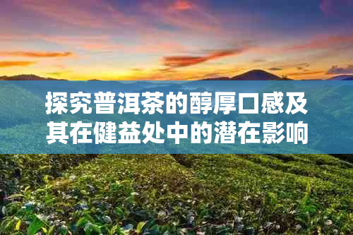 探究普洱茶的醇厚口感及其在健益处中的潜在影响