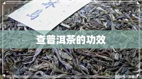 查普洱茶的功效