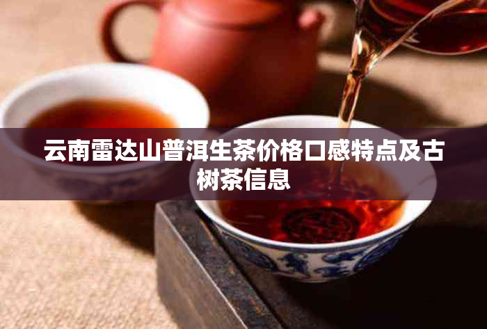 云南雷达山普洱生茶价格口感特点及古树茶信息