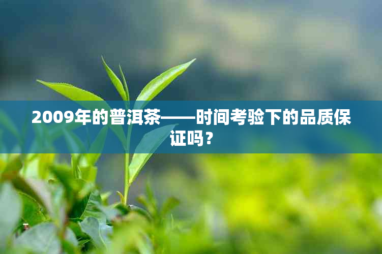 2009年的普洱茶——时间考验下的品质保证吗？