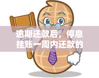 逾期还款后，停息挂账一周内还款的后果与解决方法